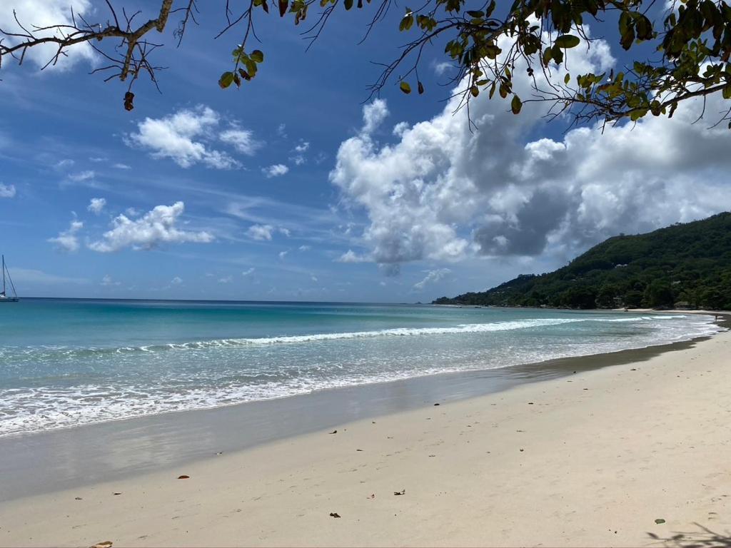 Appartamento Beau Bamboo Beau Vallon  Esterno foto